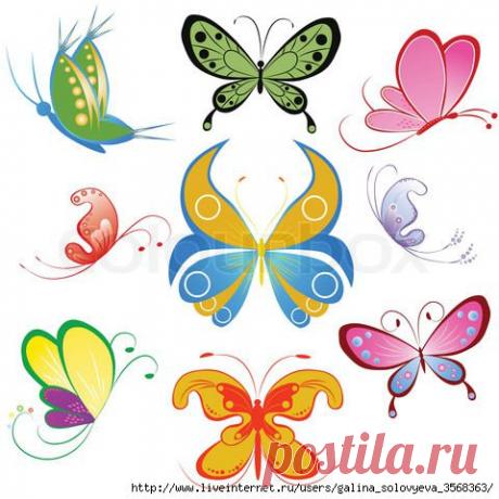 Бабочки, бабочки, бабочки!