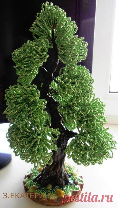 biser.info_80350_bonsaj-pushistik_1393429319.jpg (907×1600)