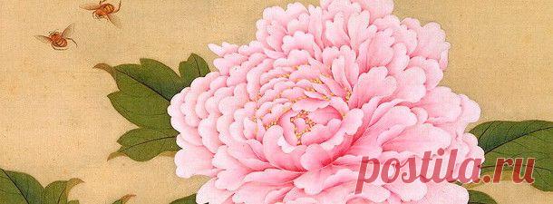 Главные советы восточной медицины | pokolenie-x.com