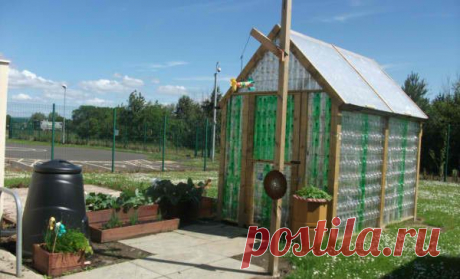 Теплица из пластиковых бутылок своими руками