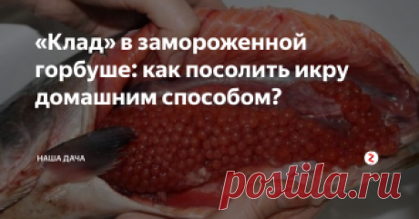«Клад» в замороженной горбуше: как посолить икру домашним способом? Выпотрошенные тушки показались мне дороговатыми, поэтому я, пожадничав, взяла «целиковые» - с головой и непотрошенные. И что же, жадность моя вознаградилась неожиданным подарком – внутри рыбы обнаружилась красная икра. Икринки крупные, насыщенного кораллового цвета, одна к одной! И что с ней делать?