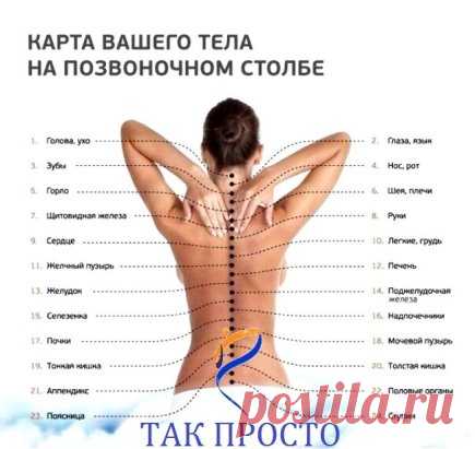 6 золотых правил здоровья Кацудзо Ниши. Японский целитель плохого не посоветует!
«Правильная осанка — залог здоровья», — так утверждал известный японский целитель Кацудзо Ниши. Он верил, что человек может сам себя вылечить, зная несколько простых приемов оздоровления. Из личного опыта Кацудзо составил 6 советов, которые вошли в историю под названием «Золотые правила здоровья».
Оздоровительная система Ниши получила широкую популярность благодаря своей простоте и глубокой восточной мудрости. Поэто