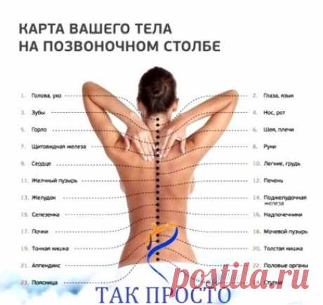 6 золотых правил здоровья Кацудзо Ниши. Японский целитель плохого не посоветует!
«Правильная осанка — залог здоровья», — так утверждал известный японский целитель Кацудзо Ниши. Он верил, что человек может сам себя вылечить, зная несколько простых приемов оздоровления. Из личного опыта Кацудзо составил 6 советов, которые вошли в историю под названием «Золотые правила здоровья».
Оздоровительная система Ниши получила широкую популярность благодаря своей простоте и глубокой восточной мудрости. Поэто