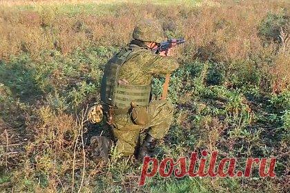 Минобороны заявило об уничтожении около 100 бойцов ВСУ в районе Славянска. На Краснолиманском направлении в районе Славянска нанесено массированное огневое поражение резервам противника, а также подразделениям 66-й механизированной бригады Вооруженных сил Украины. Об этом в понедельник, 3 октября, журналистам сообщили в Министерстве обороны России.