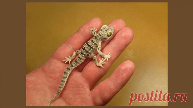 Лепим геккона из полимерной глины. Часть 1 – Ярмарка Мастеров