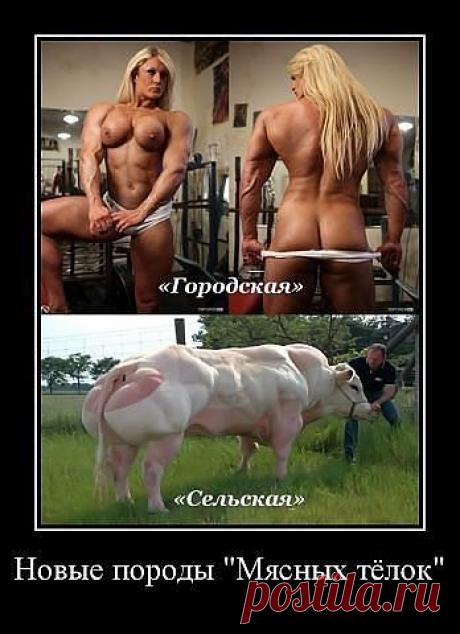 ★ СИМ - САЛАБИМ ★   обо всем с улыбкой ヅ ➊❽✚
✿ܓ Алиса в стране чудес ✿ܓ