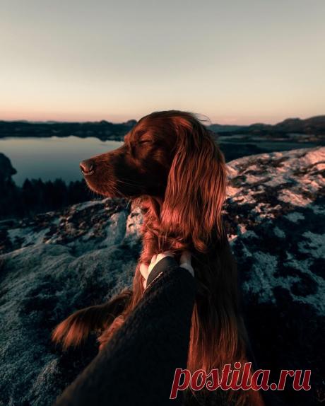 Картинки и фотографии на просторах интернета