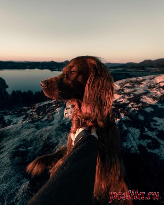 Картинки и фотографии на просторах интернета