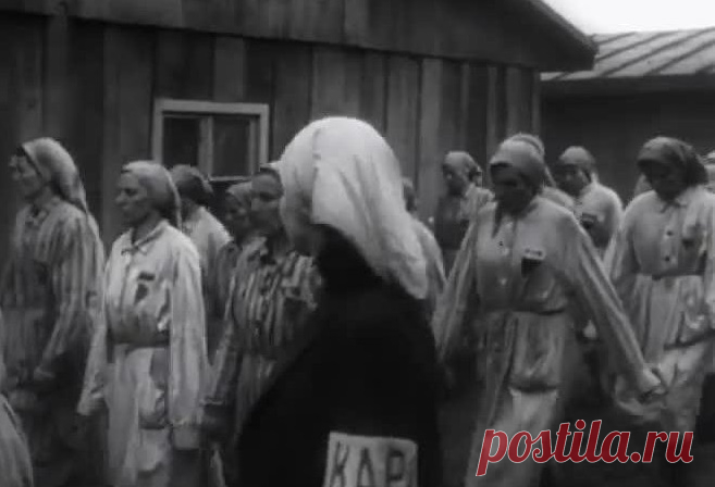 В немецких лагерях смерти над заключенными издевался не только персонал. На услужении у гитлеровцев были пособники из числа самих же узников. Их называли «капо» - и нередко добровольные помощники нацистов зверствовали не меньше своих временных покровителей