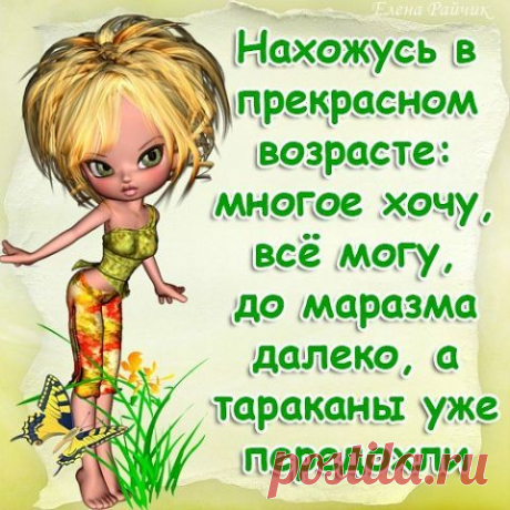 3.jpg (480×480)