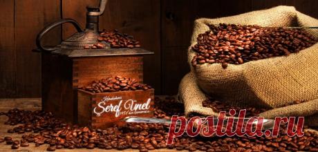 Запахло свежемолотыми зернами — аромат, отделяющий день от ночи.  Харуки Мураками. 
Просыпаемся с отличным настроением! Всем теплого и полного приятных эмоций дня!