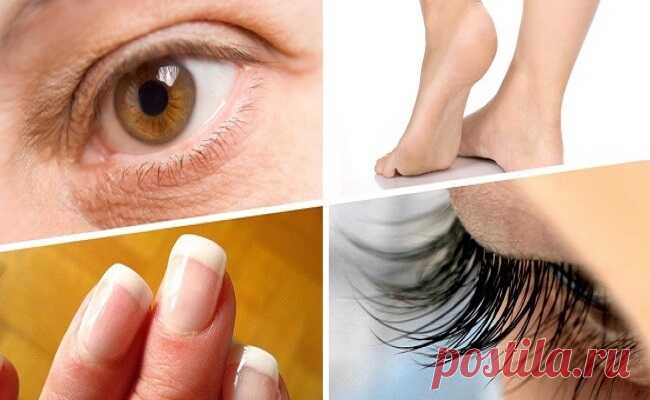 Касторовое масло против 17 недугов. Это больше, чем просто косметологическое средство! Хотя касторовое масло изготавливают из ядовитого растения под названием клещевина, не стоит опасаться за свое здоровье: при прессовании все опасные вещества остаются в отходах.

Касторка — абсолютно безопасный продукт, который к тому же обладает широким спектром лечебных свойств.

Применять каст