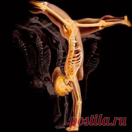 Чтобы кости были здоровы | Друг пенсионера
Миллионы россиян страдают болезнями костной системы. А такой недуг, как остеопороз, среди неинфекционных заболеваний прочно уселся на четвертой ступеньке после заболеваний сердечно-сосудистой системы, онкологических патологий и сахарного диабета.