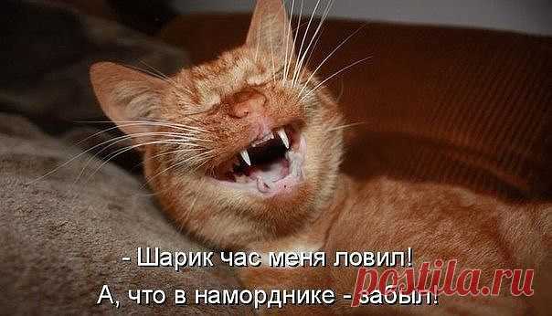 ♥♥Житейская мудрость ♥♥