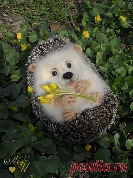 Фотографии на стене сообщества | 32 767 фотографий |