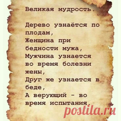 d4713f589d2dfa3c68a58bb58cc4a8cb.jpg (736×736)
