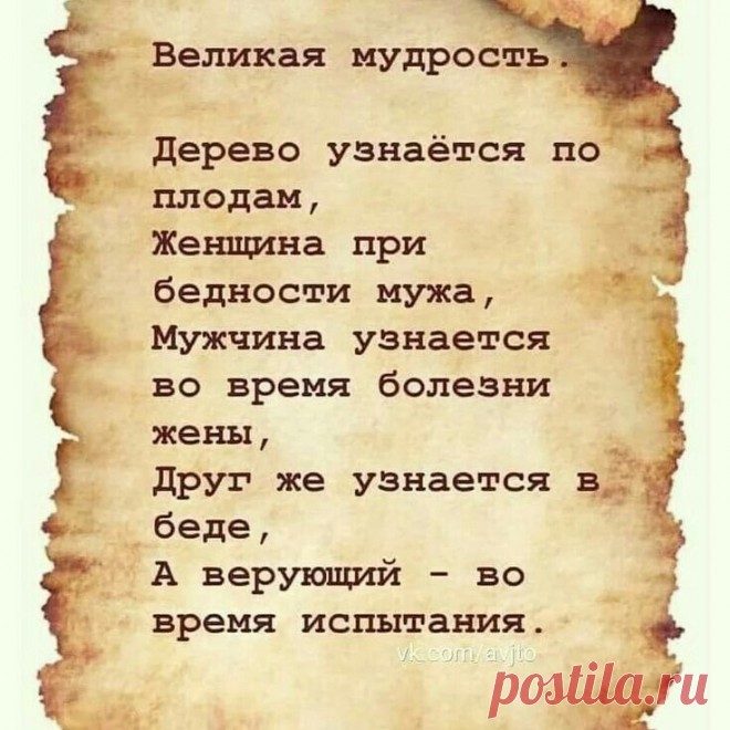 d4713f589d2dfa3c68a58bb58cc4a8cb.jpg (736×736)