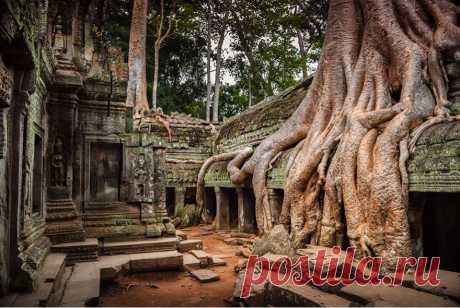 20 фотографий, где природа победила цивилизацию