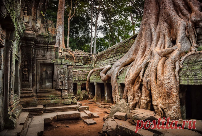 20 фотографий, где природа победила цивилизацию