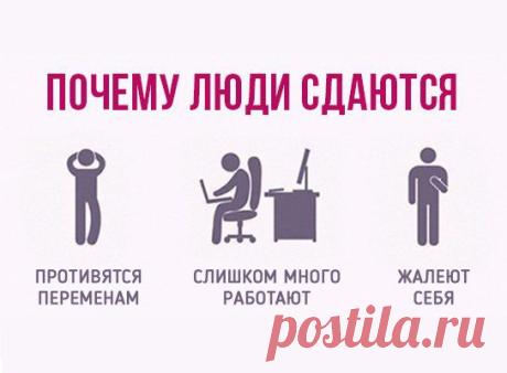 Новости