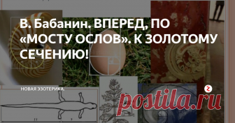 В. Бабанин. ВПЕРЕД, ПО «МОСТУ ОСЛОВ». К ЗОЛОТОМУ СЕЧЕНИЮ! Решив египетский треугольник алгебраическим способом, мы еще только дошли до середины «моста ослов» и нам еще грозит опасность быть причисленными к длинноухим глупцам и упрямцам. Чтобы преодолеть вторую половину «моста», нужно еще решить задачу о египетском треугольнике геометрическим способом. Здесь уже есть варианты, и каждый в меру своих способностей и фантазии может выбрать свой путь, ведущий
