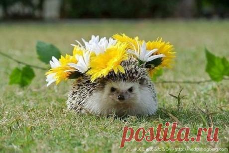 И лёд тает, когда мы светим, и сердца открываются, когда мы любим, и чудеса происходят,когда мы верим!!!