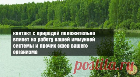 Контакт с природой