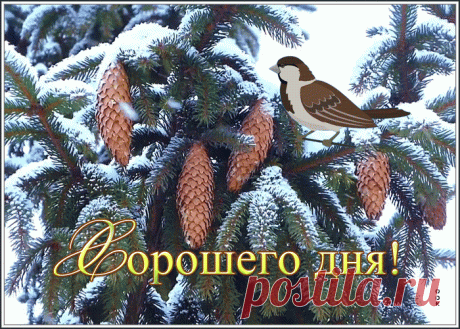 Картинка хорошего дня и счастья