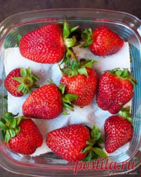 В чем лучше всего хранить клубнику, чтобы она оставалась свежей 2 недели — Психология