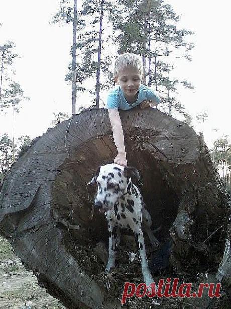 На прогулке