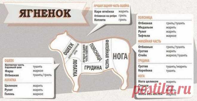 шпаргалка для кухни