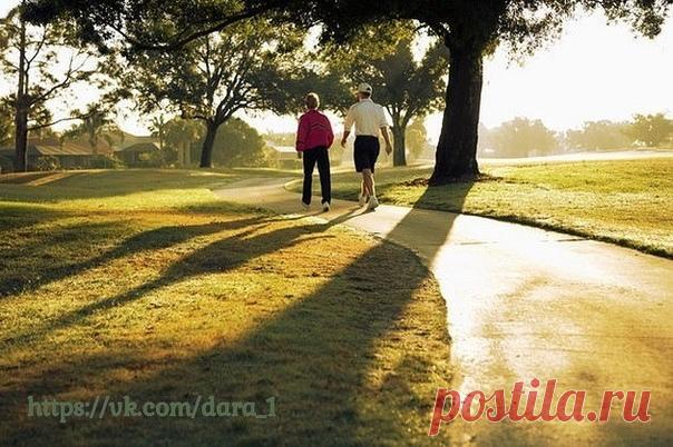 5 причин больше гулять и проводить время на свежем воздухе 

Ежедневные прогулки – также залог нашего здоровья. Не меньше, чем правильное питание или хороший сон. Однако, сколько минут или часов вы проводите в день на свежем воздухе? Большинство людей считают прогулками путь от дома до работы и обратно, да, ещё до магазинов. Но это не полноценные прогулки, и пользы от них не так уж и много.
Показать полностью…