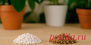 Перлит или вермикулит что лучше для растений