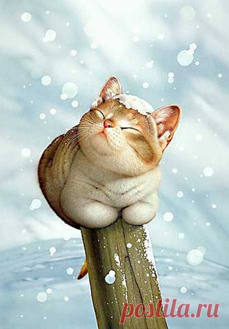 Makoto Muramatsu's Cats