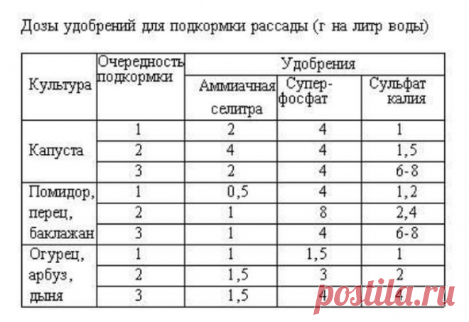 15 самых серьезных ошибок при выращивании рассады