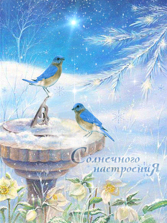 animated, animation, gif анимация, illustration, mira, word art, анимации, блеск, гифка, звезды, картина, мои анимации, надписи, открытки, птичкb, снег, текст, футажи, штамп