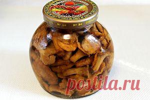 Маринованные лисички рецепт с фото на Webspoon.ru
