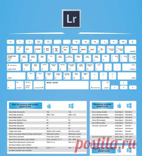 adobe-cc-photoshop-lightroom-shortcuts-cheatsheet-photography-slrlounge-kishore-sawh-4.jpg (987×1085)