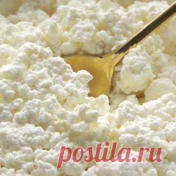 Ученые озвучили последствия поедания ТВОРОГА ! Немедля прочтите - Мои статьи