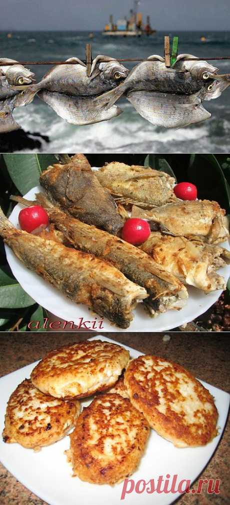 Рыбацкая кухня. Как приготовить рыбу? - znamus.ru