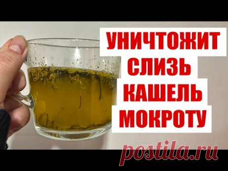 ВЫЛЕЧИЛА И ОЧИСТИЛА ЛЁГКИЕ! ПРОСТОЙ ДЕРЕВЕНСКИЙ СПОСОБ