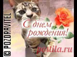 (8) Алина Чернова