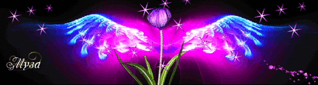 best-covers - 30 фото. Фотографии Татьяна Титова.