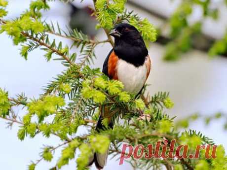 Ирина Муромова – Google+
