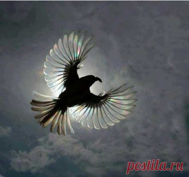 22 снимка от людей, у которых был только один шанс вовремя достать фотоаппарат, и они его не упустили