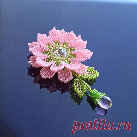 цветок / VFL.Ru это, фотохостинг без регистрации, и быстрый хостинг изображений.