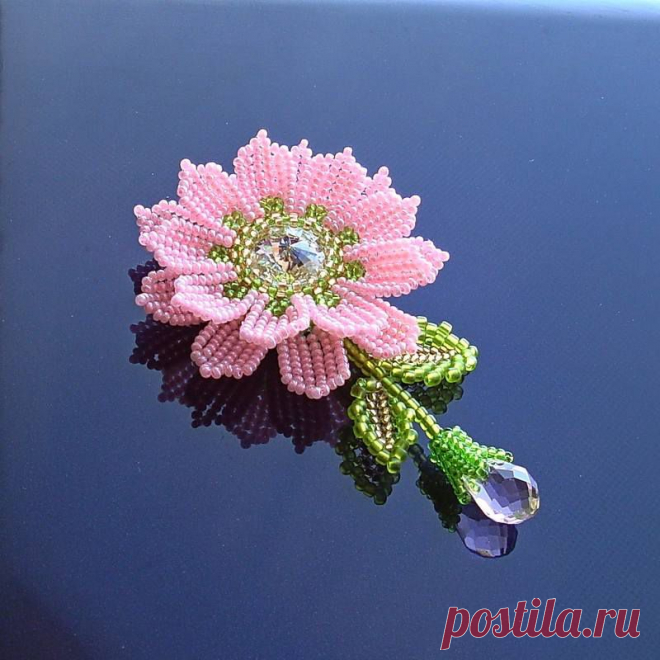 цветок / VFL.Ru это, фотохостинг без регистрации, и быстрый хостинг изображений.