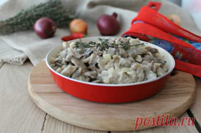 Вешенки — это дешево, питательно и очень вкусно! 3 улетных рецепта. Грибочки уходят моментально!