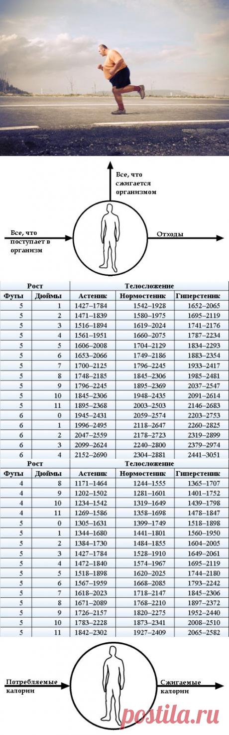 Концепция воздушного шарика — новый способ похудеть | Диеты со всего света