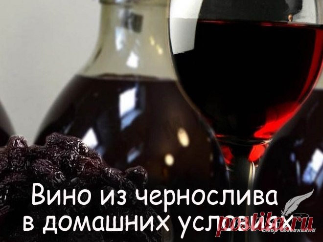 Вино из чернослива в домашних условиях - Вкусные рецепты от Мир Всезнайки